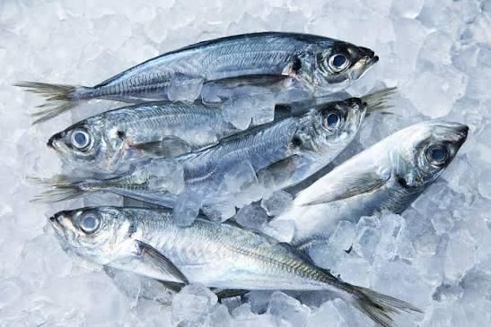 Mackerel Fish Mackerel range in size from small forage fish to larger game fish Mackerel Fish Mackerel - Image 4