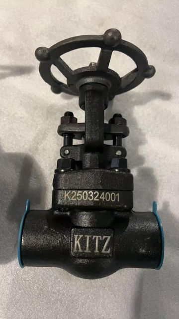 Gate Valve Kitz Brand Forged Steel Materials ASTM A105 FNPT BSPT SW BW - Image 2