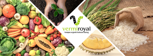 vermicompost organic fertilizer (100% worm casting) - Image 1