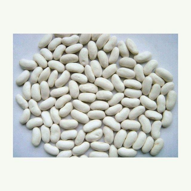 high quality white beans for cooking soups chili salads and healthy dishes natural whole beans rich in plant protein fiber and essential nutrients perfect for vegetarian diets home kitchens and restaurants - Image 3