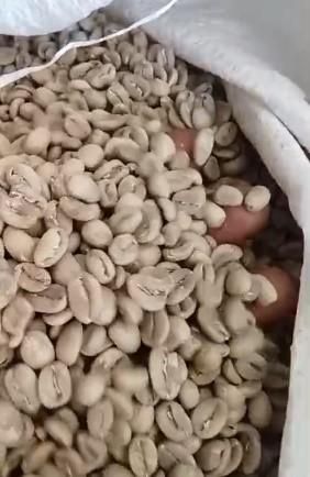 Arabica Green Bean Coffee Grade 1 AA Specialty Grade 1 Max. Moisture (%) 12 Processing Type Semi Wash Place of Origin West Java, - Image 1