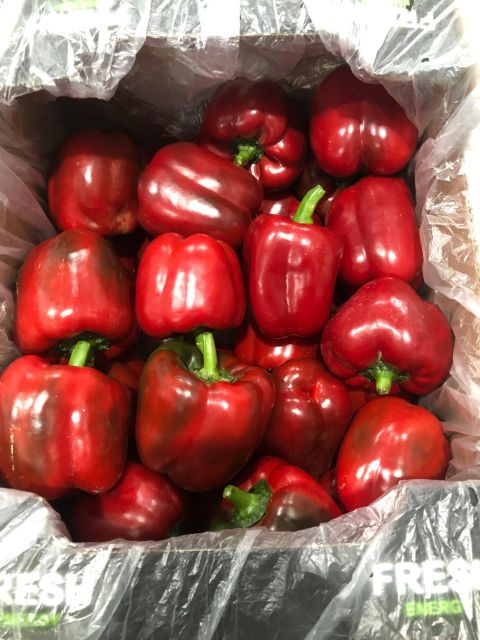 Premium Fresh Mixed Bell Pepper (Red & Yellow) - Export Quality - Image 4