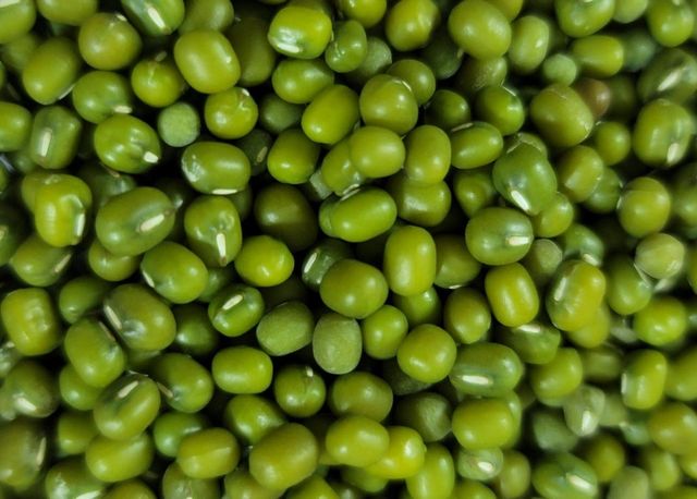 Green Mung Bean Size 3.5 Style Fresh Weight (kg) 25 Type Green Beans Brand Name Custom Address Bangladesh Shelf Life 2 - Image 5