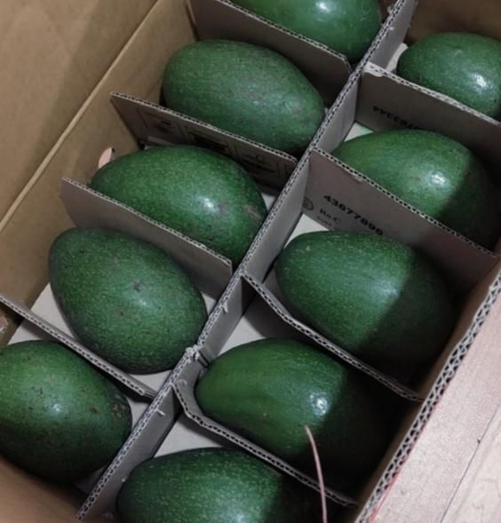 Pameling Avocado - Image 2