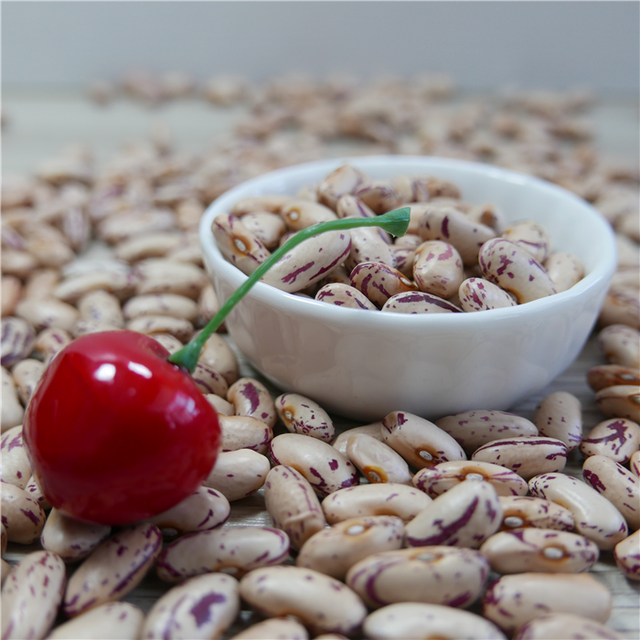 Wholesale 2023 china Light Speckled Kidney Beans / red sugar bean / Pinto bean - Image 3