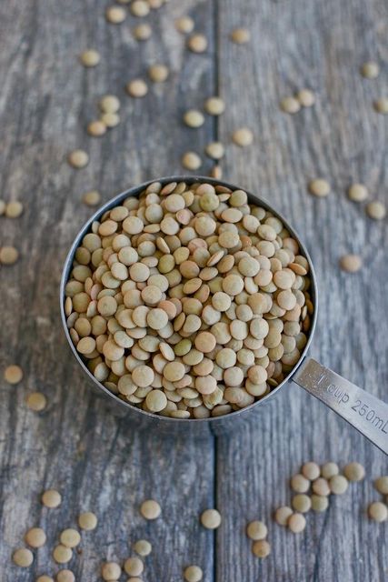 Natural Green Lentils Raw Whole Seeds Clean Fresh Premium Quality High Protein Perfect For Healthy Meals Cooking And Industrial Food Use Buy Today Fast Delivery Premium Quality Wholesale - Image 5