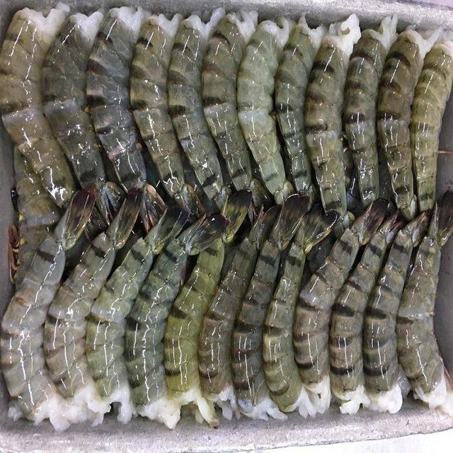High Quality Frozen Black Tiger Shrimp BQF Freezing Process 15kg Bulk Packaging 2 Year Shelf Life Stock - Image 1