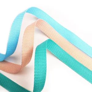 Wholesale Factory High Quality PP Webbing Custom Polypropylene Ribbon for Bags - Image 4