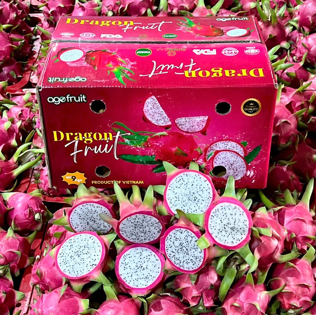 Premium Fresh Produce – Premium Dragon Fruit 9kg Export Box On Sale - Image 1