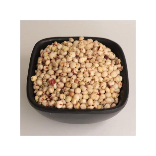 Sorghum grains with high nutritional value suitable for processing and milling - Image 2