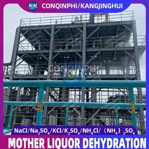 Forced Circulation Triple-Effect Evaporation Freeze Crystallization Equipment - Image 1