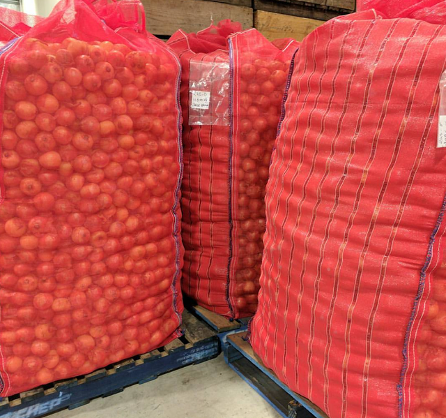 Export Grade Quality Fresh Harvest Premium Fresh Yellow Onions 80mm Export 10Kg,60kg Bags On Sale - Image 4