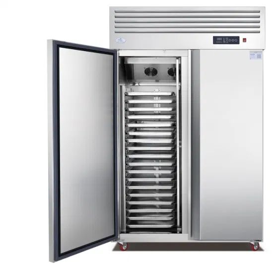 Commercial Double Door Kitchen Freezer Equipment Capacity 1000 L Type ...