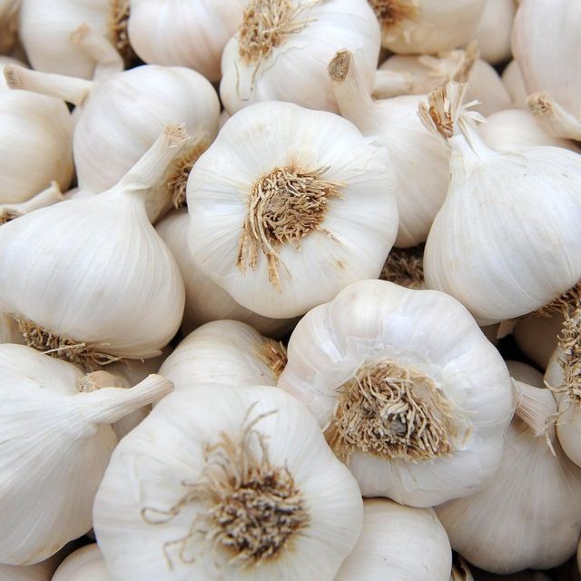 Fresh Garlic Carefully Packed Agricultural Produce For Wholesale Importers And Fresh Produce Market Supply - Image 3