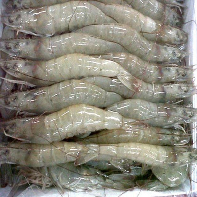 Frozen Vannamei Shrimp 51/70 Size 100% Natural Best Quality Vacuum Pack 10kg/Carton 6 Month Shelf - Image 5