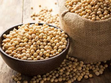 Soya beans Grade Grade A Origin Nigeria Form And Cut Whole Admixture Level 2% Protein Content 42% Purity Level 98% Min Cultivation Type Organic - Image 2