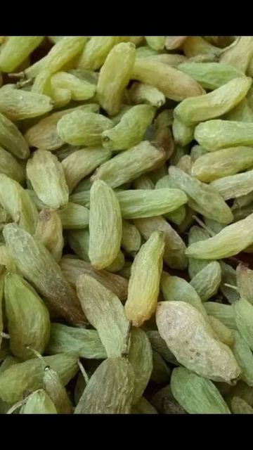 Green Raisins (shondankhani) - Image 1