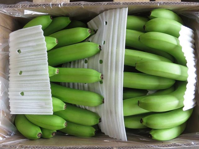 Fresh Green Cavendish Banana - Image 3