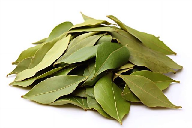 Bay Leaf Origin Indonesia Form Whole Dried Leaves Shelf Life Up To 24 Months Moisture Content Max. 10–12% Grade Export Quality / - Image 1