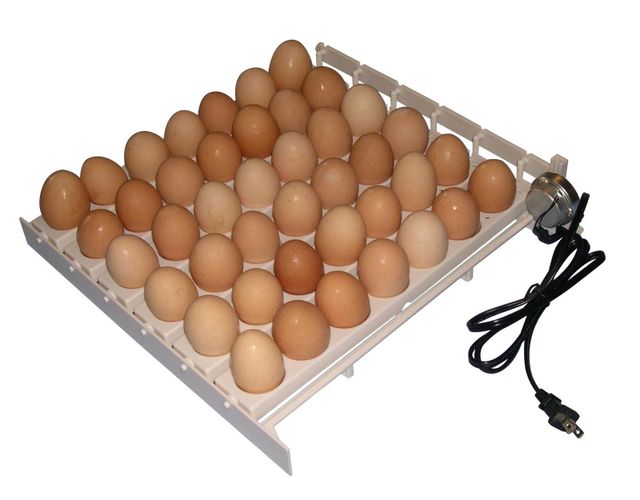 Farm Innovators 3200 Chicken Poultry Egg Incubator (Brand New) - Image 2