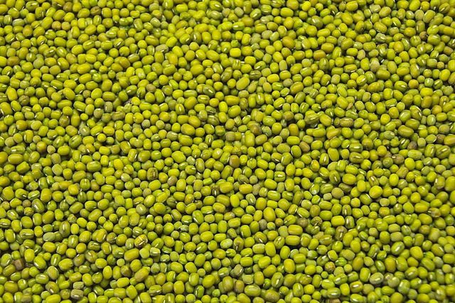 Cheap Dried Bulk Green Mung Beans From South Africa with Best Price - Image 1