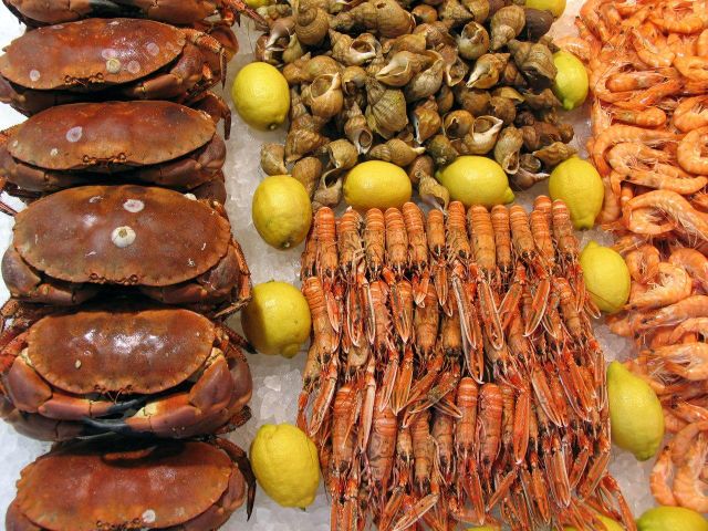 Fresh & Premium Seafood shop online,lopster - Image 5