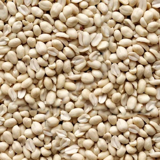 White Urad Dal Rich Protein Pulse Crop With Uniform Texture For Bulk Shipment And Private Brand Packaging - Image 3