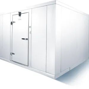 20FT Onion Storage Freezer Container Cold Room Storage for Vegetables - Image 5