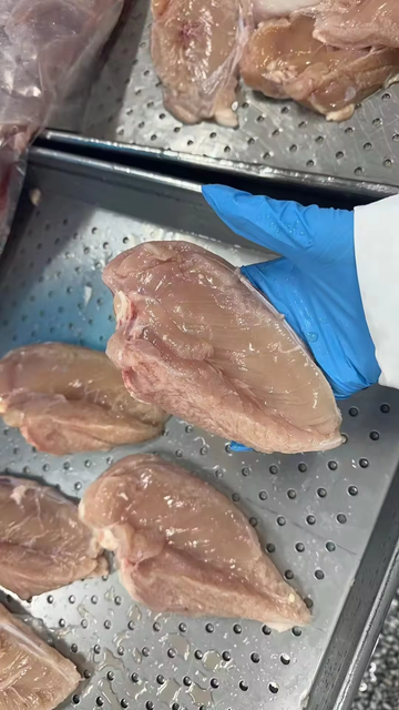 Wholesale High Quality Halal Frozen Chicken Breast Price - Image 6