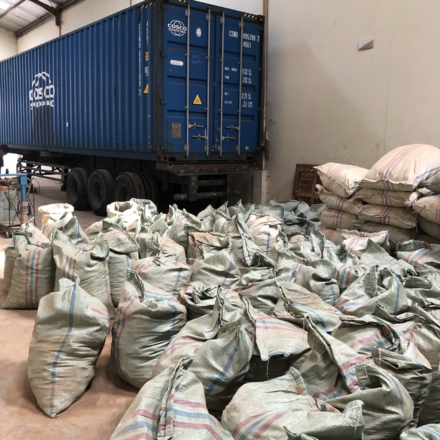 Damar Dammar Gum Resin Rock Powder From Sumatera Indonesia Type Natural Delivery Form Bag, Big Bags, Other, Sacks - Image 4