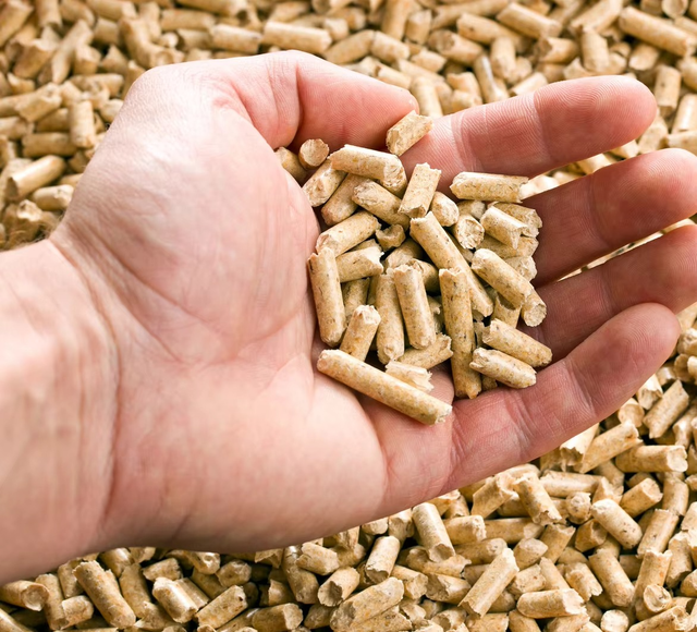 Export Quality Wood Pellets For Biomass Energy Production And Industrial Heating Applications - Image 5