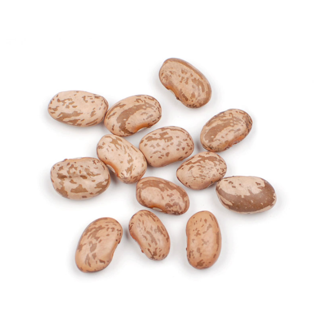 Clean Pinto Beans Premium Natural Dried Beans For Cooking And Food Industry Buy Fast Delivery Premium Quality Wholesale Naturally Perfect For Daily Use And Bulk Supply - Image 2