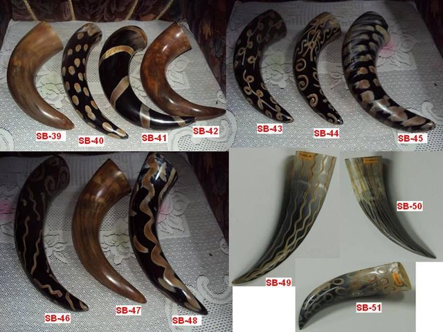 Cow Horn Drinking Horn - Image 4