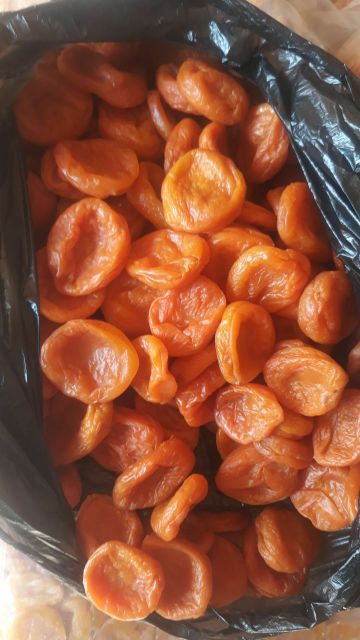 Wholesale Natural Organic Top Grade Dried Apricot kandak 186 Grade Bulk Pitted Apricots Dried Fruit From Uzbekistan - Image 3