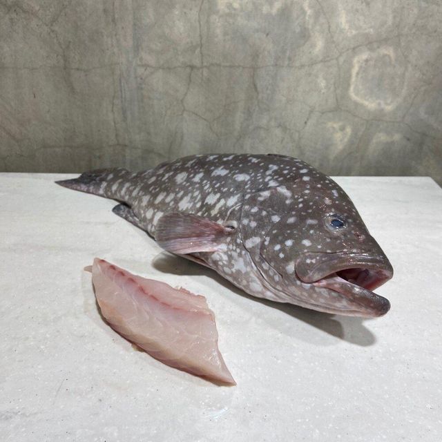 Frozen Cod Fish Carefully Selected Ocean Catch Prepared For Export Markets Demanding Premium Seafood Products - Image 1