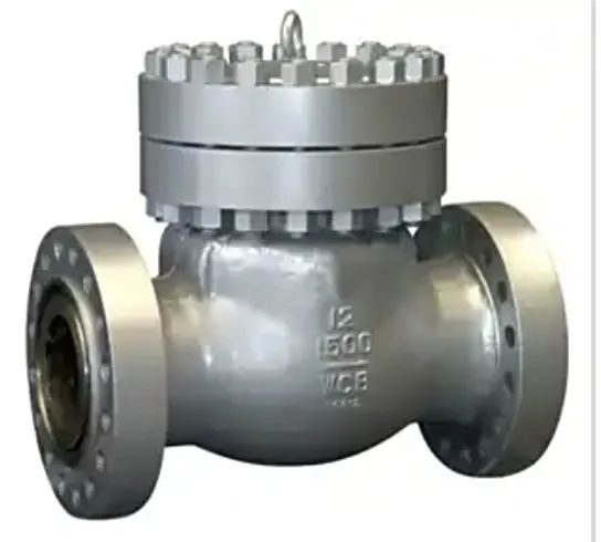 High-Quality Swimming Pool Check Valve for Optimal Flow Control - Image 4