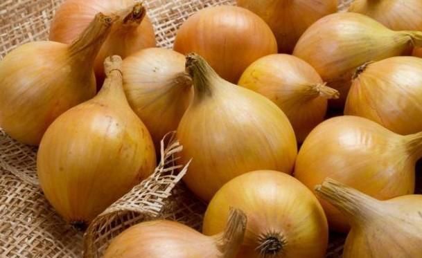Onion – product photo 2, product detail gallery