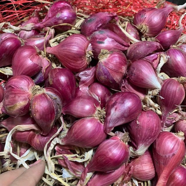 Organic Premium Quality Fresh Red Onion Best Price with Free Tax - Image 5