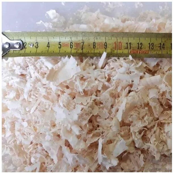 Standard High Quality Wood Shavings Pine/Acacia Wood - Image 3