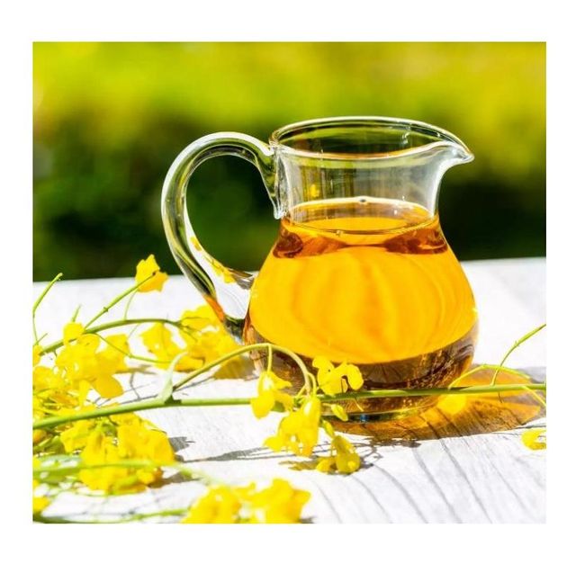 Wholesale Best Price Refined Rapeseed Oil Canola Vegetable Edible Oil for Cooking - Image 4