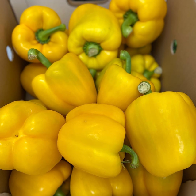 EXCELLENT SHELF LIFE CAPSICUMS PAPRIKA GREEN,YELLOW AND RED PAPRIKA 500g IDEAL FOR Salads,Pizzas and Fresh Food Preparation - Image 3