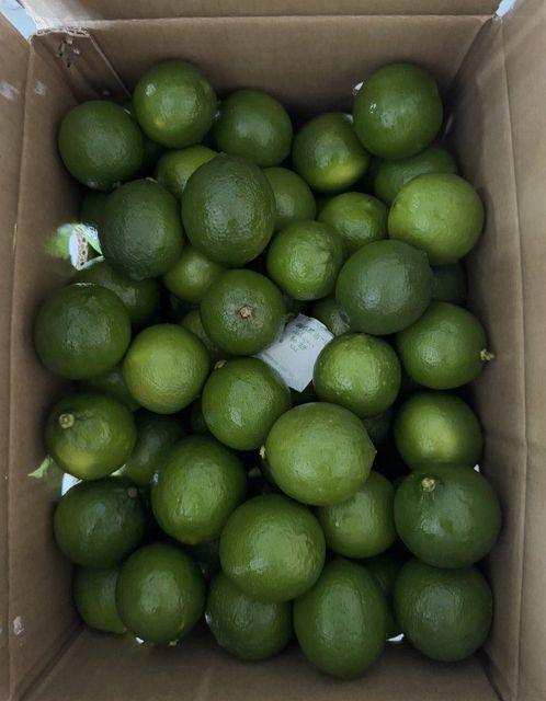 Seedless Lime Packaging 4,5kgs - 5kgs - - Image 1