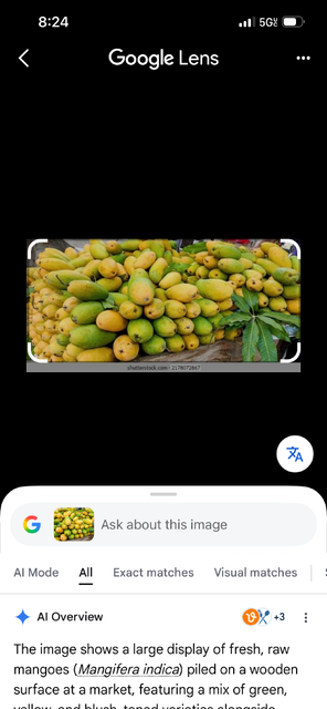 Fresh Lemon - Image 1