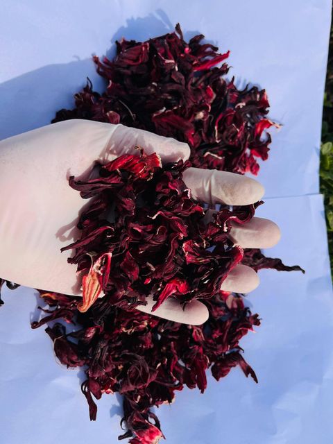 Premium Dried Hibiscus Flowers Grade A Organic Yes Flavor Tart Purity High Aroma Natural Shelf Life Long Color Vibrant Deep Red - Image 3