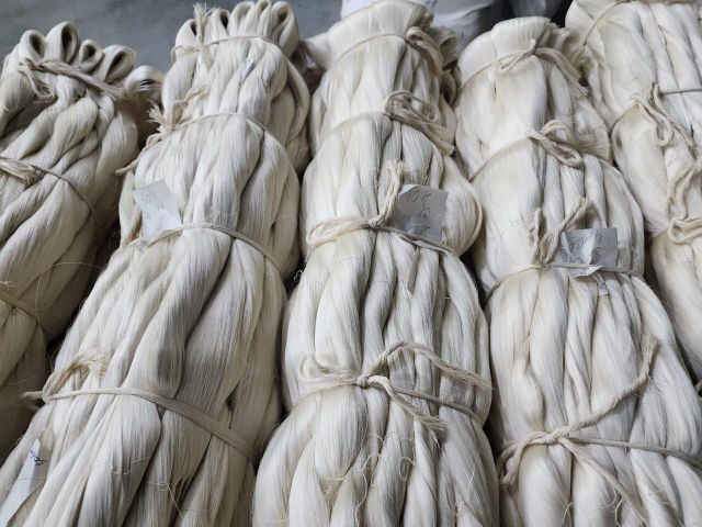 Mulberry Silk Yarn / Raw Texture Smooth Luster Exceptional Origin Turkmenistan Fiber Fineness 20/22 D Color Natural - Image 1