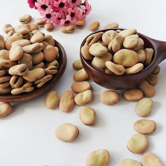 High Quality canned Broad Beans/ Fava Beans With Competitive Price 16mm - Image 6