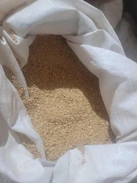 Animal Feed Soybeans frozenchickenexports.com - Image 1