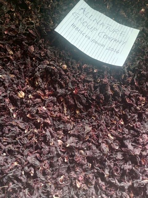 DRIED HIBISCUS FLOWERS SABDARIFFA - Image 3