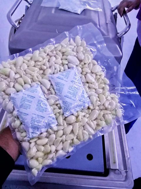 fresh& frozen garlic - Image 3