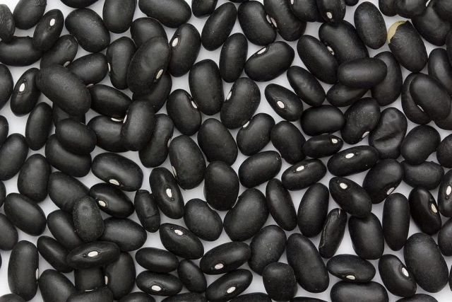 Facts and benefits of Black Bean (Black Turtle Bean)  248,943 Black beans Stock Photos | Free & Royalty-free Black beans ...- Health BenefitsBlack Bean Stock Photos, Images and Backgrounds for Free Download - Image 3
